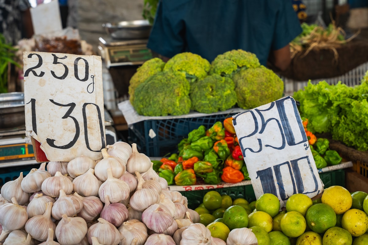 Keluarga menikmati makanan organik sehat